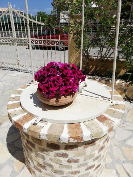 Sunny Stay Furnished Apartment In Kanoni Dış mekan fotoğraf